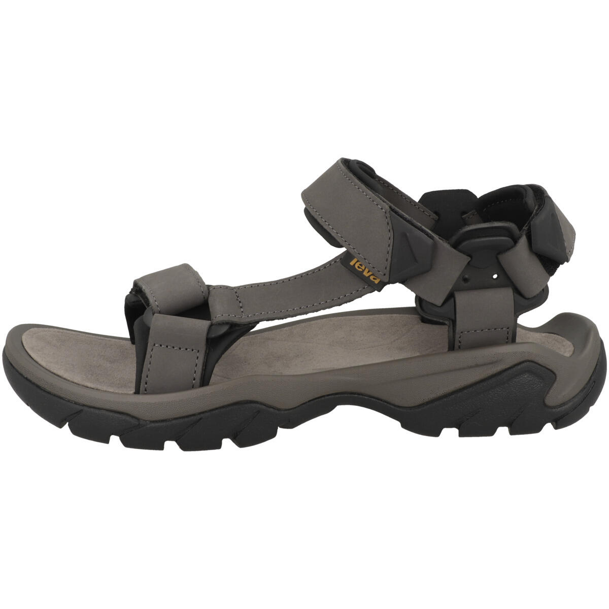 TEVA picture