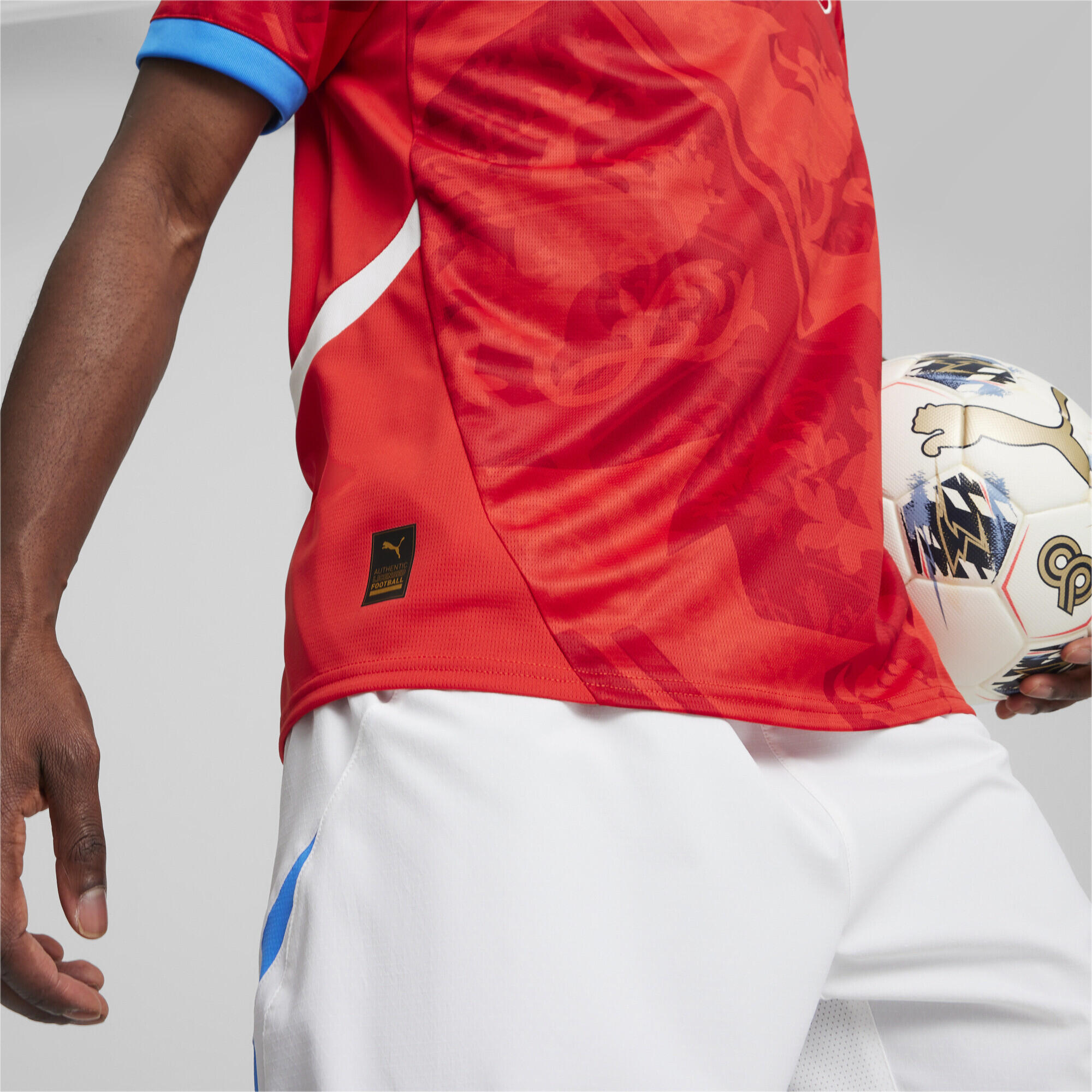 Pánský dres Česká republika 2024 PUMA 3/7