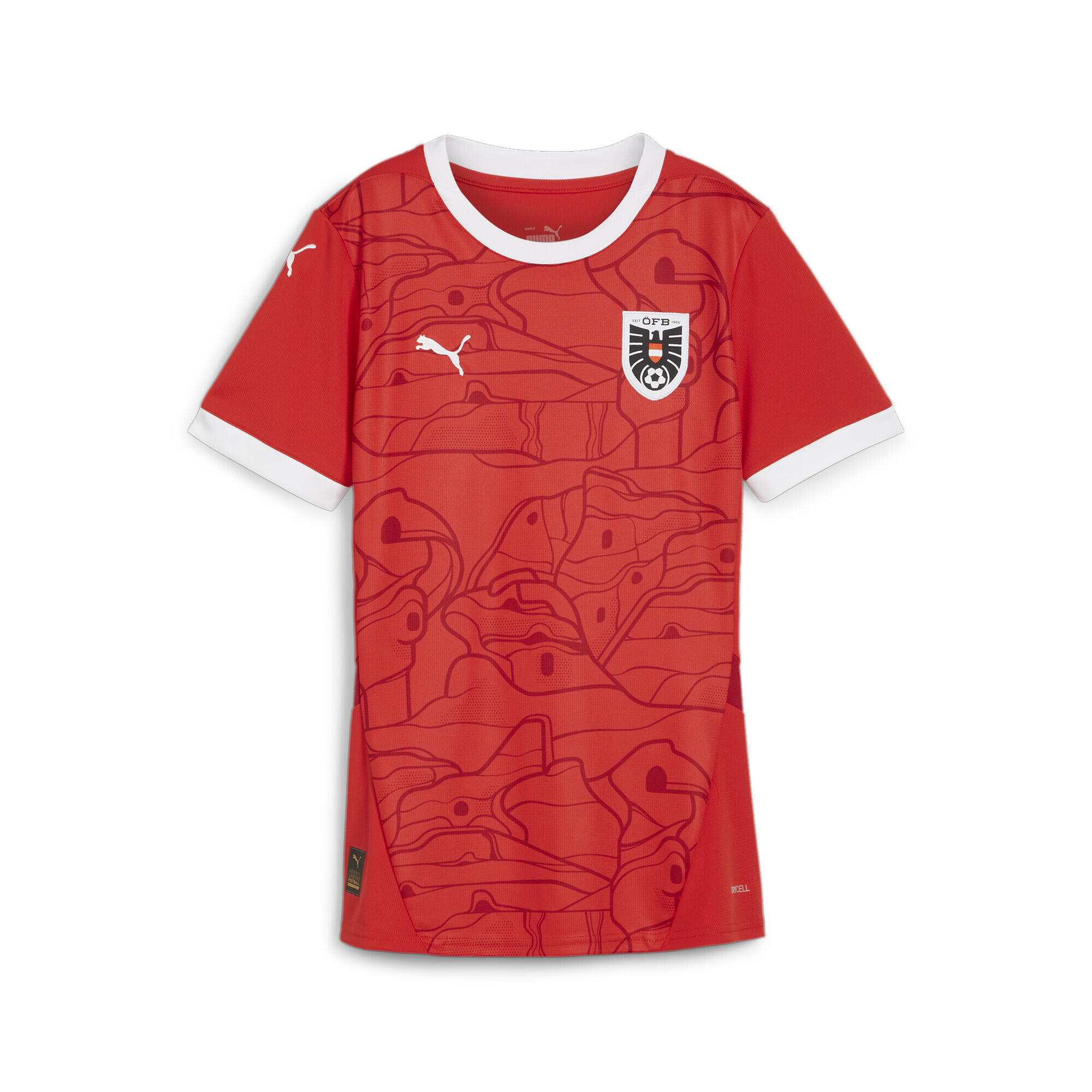 PUMA picture