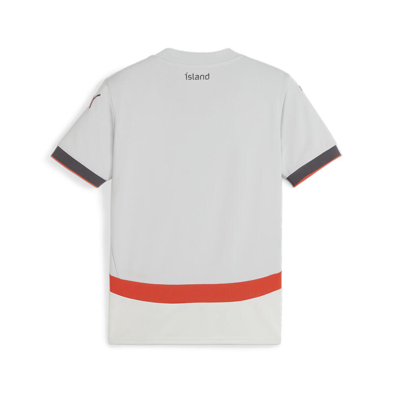 Maglia da calcio gara Away Islanda 2024 da ragazzi PUMA Ash Gray Warm Earth Red