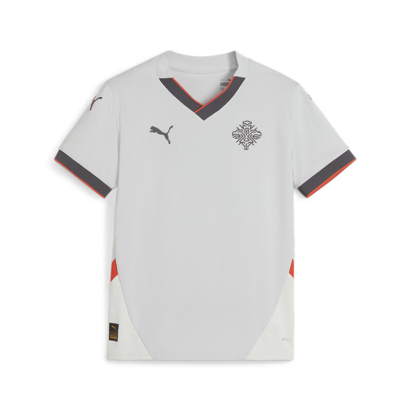 IJsland Voetbal 2024 uitshirt voor jongeren PUMA Ash Gray Warm Earth Red