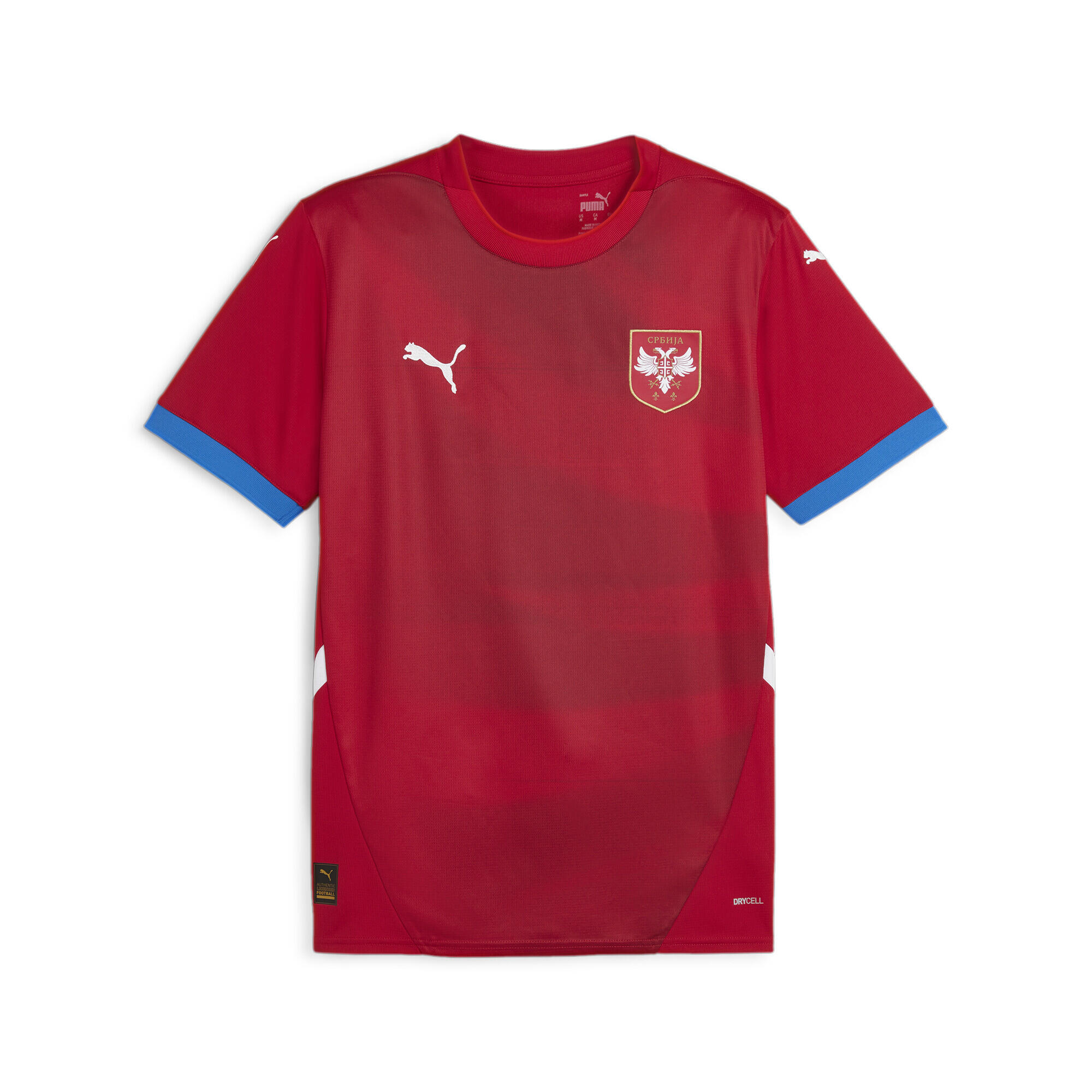 PUMA picture
