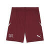 Short 2024 Suisse Homme PUMA Team Regal Red