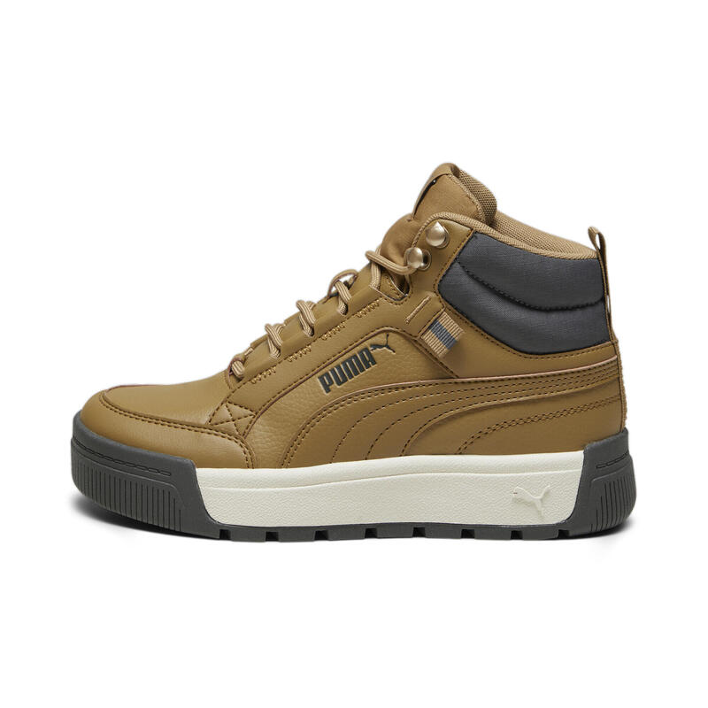 Tarrenz SB III Ifjúsági cipők PUMA Toasted Shadow Gray Gold Beige