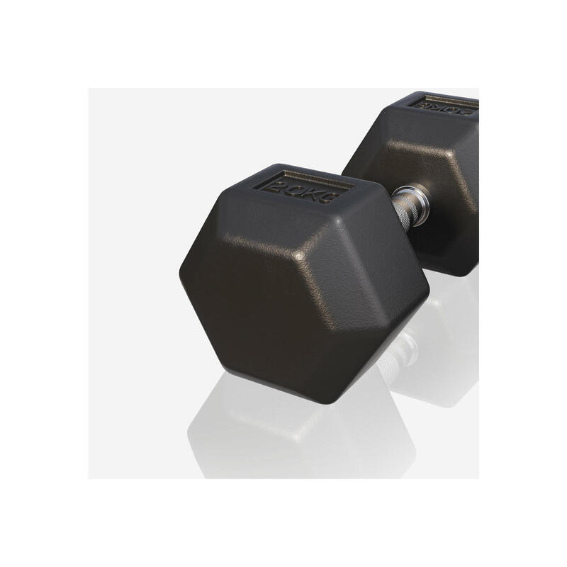 Dumbbell - 1 x 20 kg - Gietijzer - Hexagon - Halter