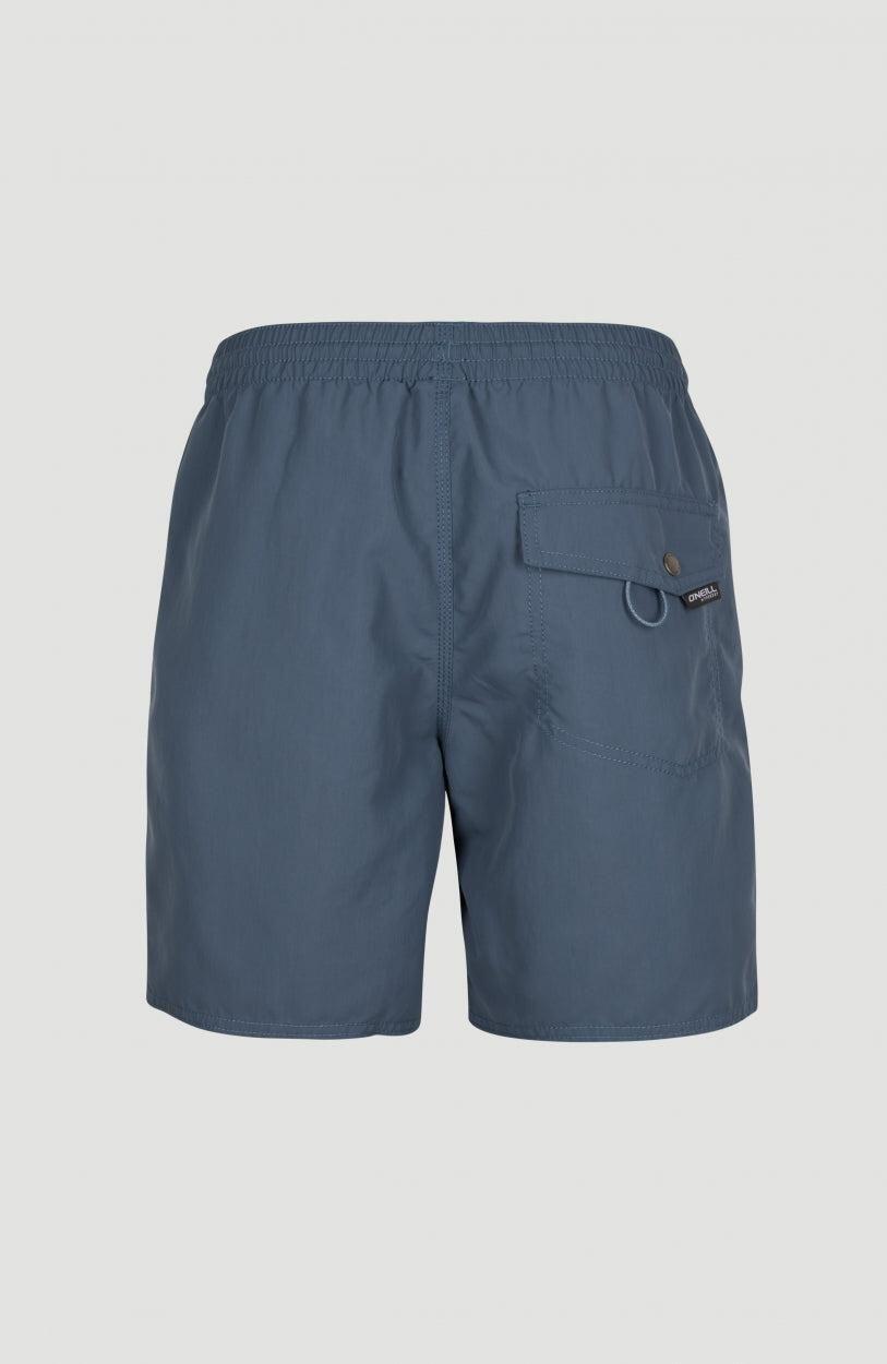 O'NEILL O'neill Vêtements de natation Vert Swim Shorts  Hommes Ensign Blue 3/4