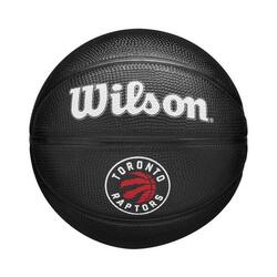 Wilson NBA Team Tribute Mini Basketbal - Toronto Raptors