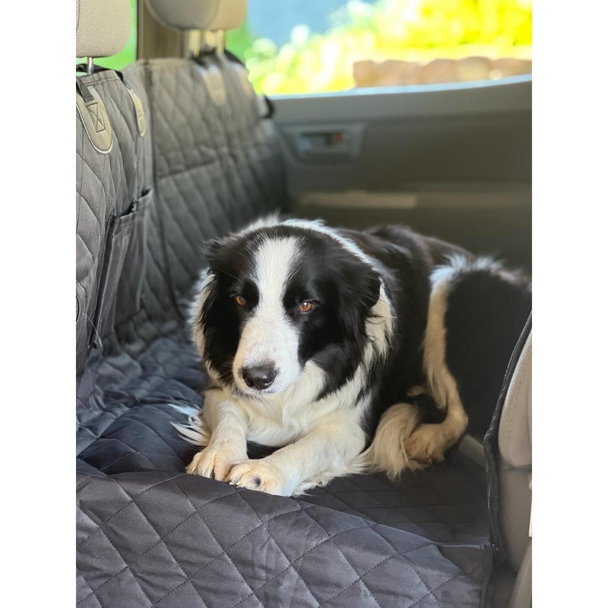 Housse de siège arrière hamac pour chiens