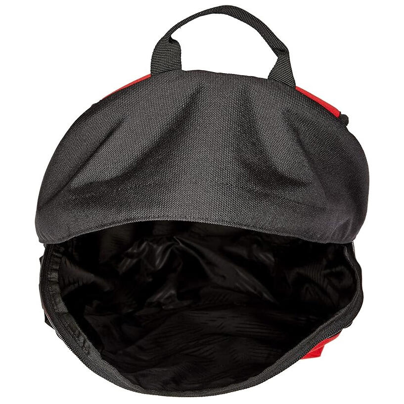 Oakley HOLBROOK 20L BACKPACK Red Line - OneSize 3/3