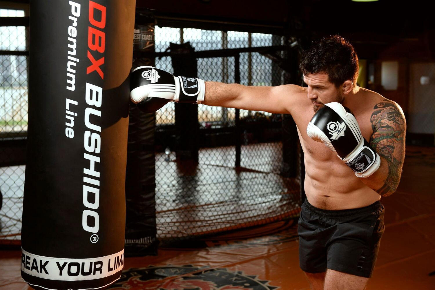 Boxerské rukavice DBX BUSHIDO B-2v3A 3/7