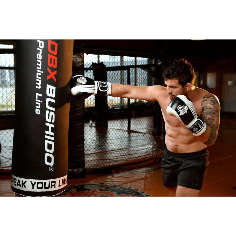 Boxerské rukavice DBX BUSHIDO B-2v3A