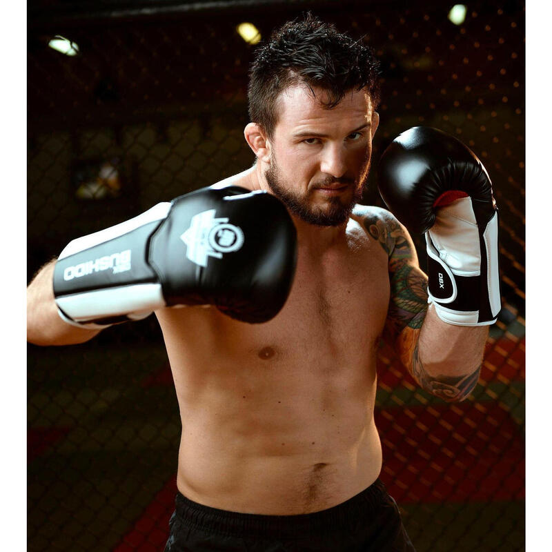 Boxerské rukavice DBX BUSHIDO B-3W