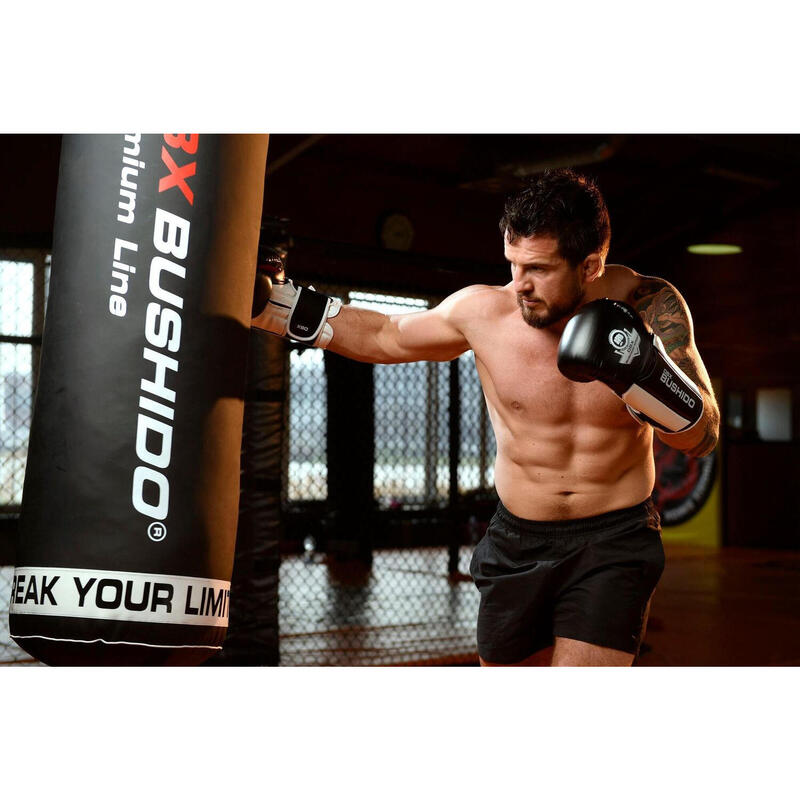 Boxerské rukavice DBX BUSHIDO B-3W 12oz.