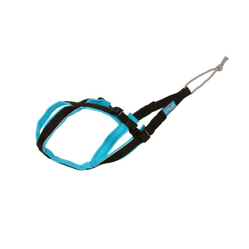 Inlandsis - Harnais Canicross Petit Chien Open-back – Inlandsis - Harnais Pour Chien - Bleu|noir - 36 Xs - Decathlon