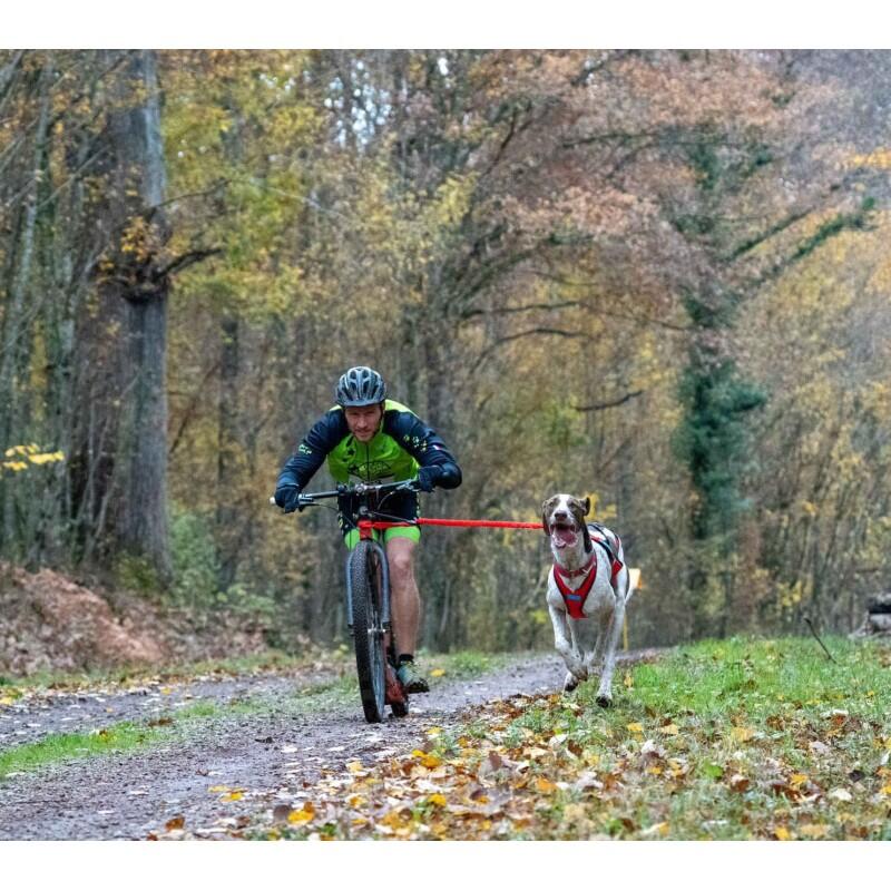 Harnais canicross compétition Blizzard Beast – Inlandsis 4/7