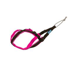 Open-Back - Harnais canicross petit chien