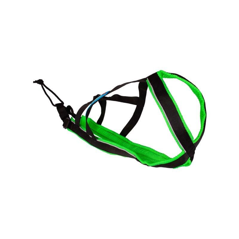 Polar Evo - Arnés ajustable para canicross - Inlandsis 5/5