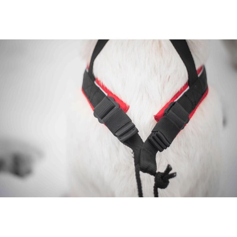 Harnais canicross réglable Polar Evo – Inlandsis 5/7