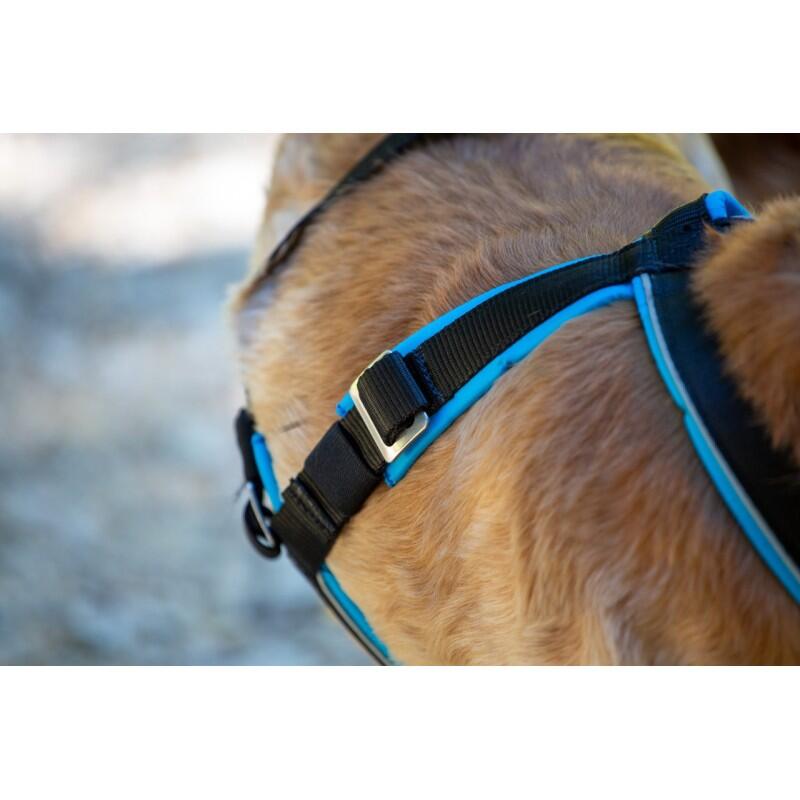 Harnais canicross petit chien Open-Back – Inlandsis 6/7