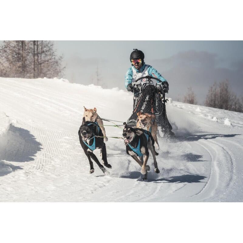 Harnais canicross compétition Blizzard Beast – Inlandsis 6/7