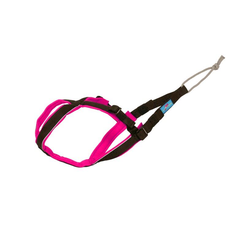 Inlandsis - Open-back - Harnais Canicross Petit Chien - Harnais Pour Chien - Noir|rose - 38 S - Decathlon