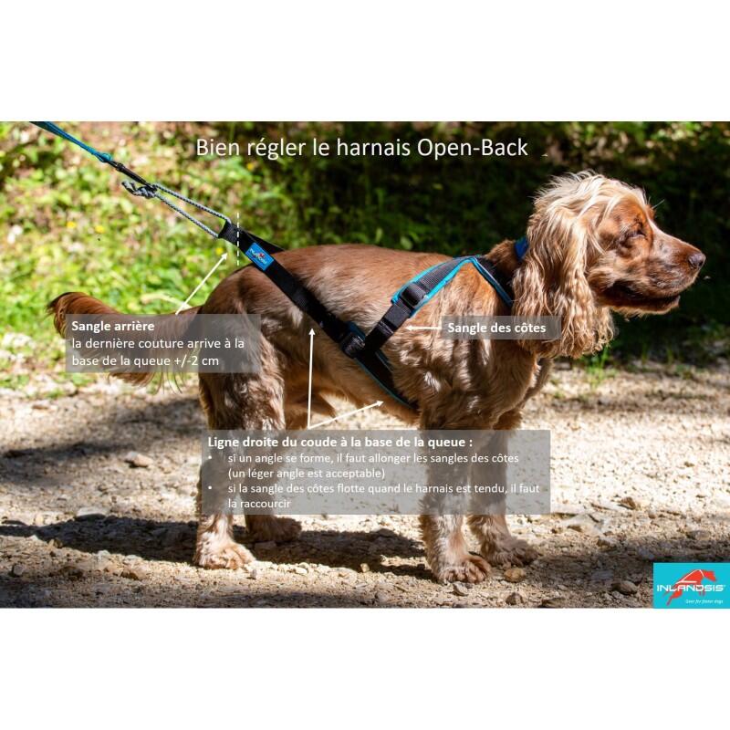 Harnais canicross petit chien Open-Back – Inlandsis 4/7