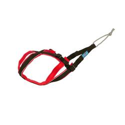 Open-Back - Harnais canicross petit chien