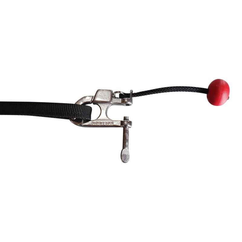 Laisse de skijoring avec largueur Skijor Pro – Inlandsis 2/6