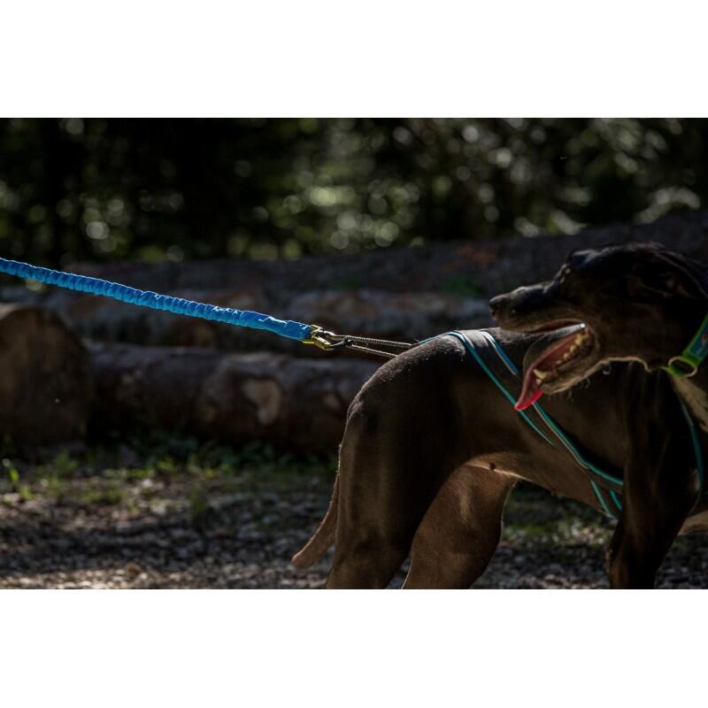 Laisse cani-VTT, cani Trott Bikejor Pro Leash – Inlandsis 7/7