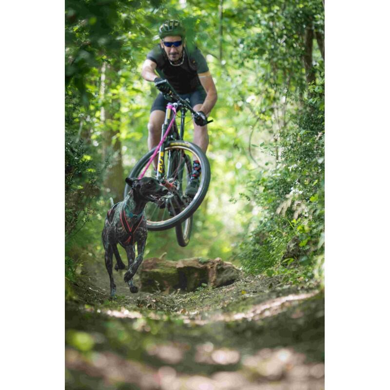 Inlandsis - Laisse Cani-vtt Bikejoring Bikejor Leash – Inlandsis - Laisse - Rose - 145 Cm - Decathlon