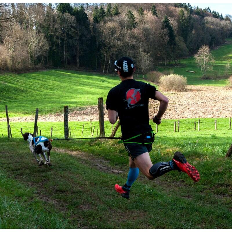 Baudrier canicross skijoring Aircross – Inlandsis 5/7