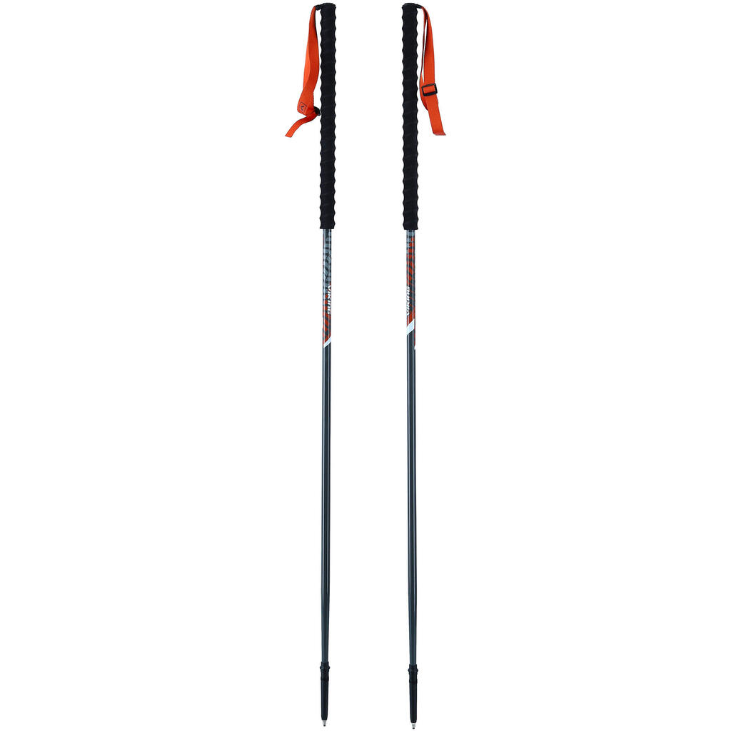 Ski touring pole Viking Mission (x2)
