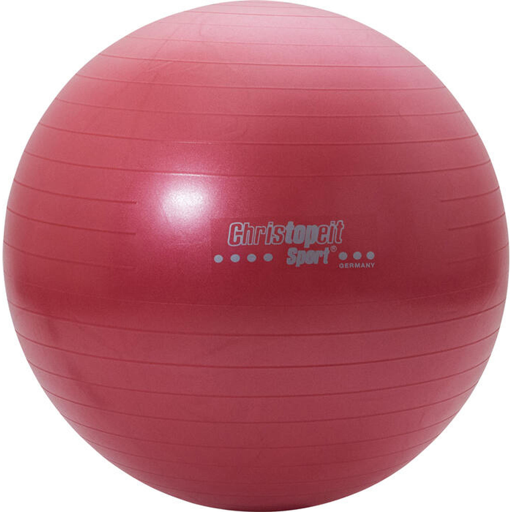 Christopeit Gym balle 65cm incl. pompe rouge