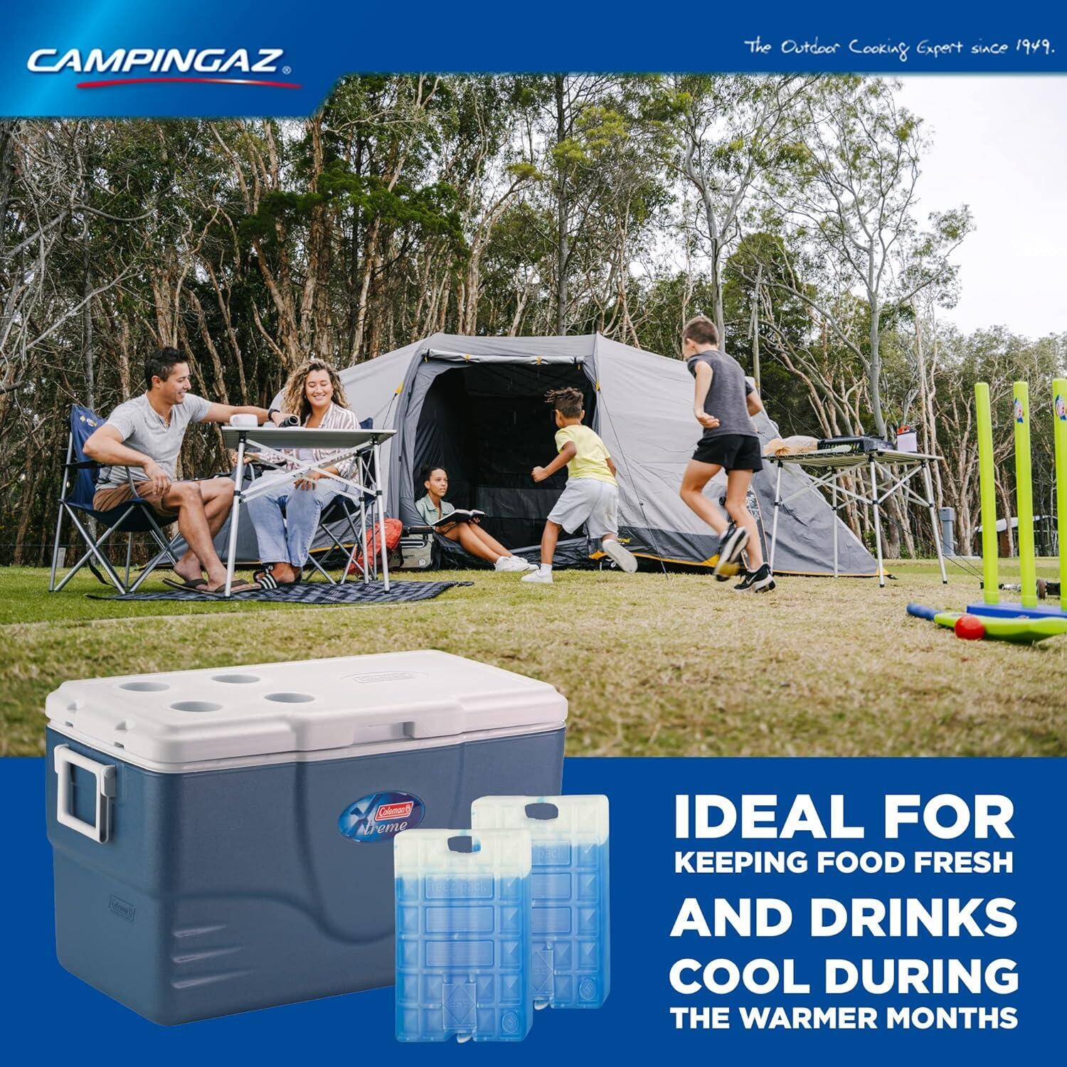 Freez Pack M30 Reusable Ice Substitute for Ice Box - Pack of 2 -  5
