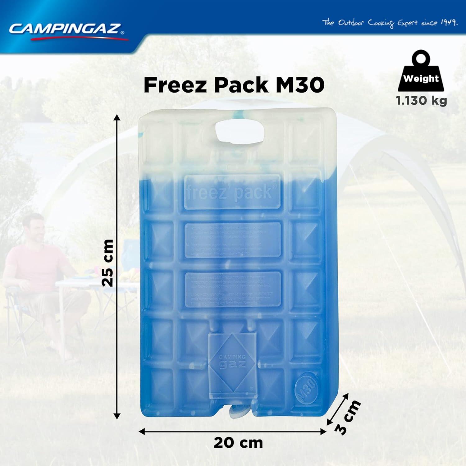 Freez Pack M30 Reusable Ice Substitute for Ice Box - Pack of 4