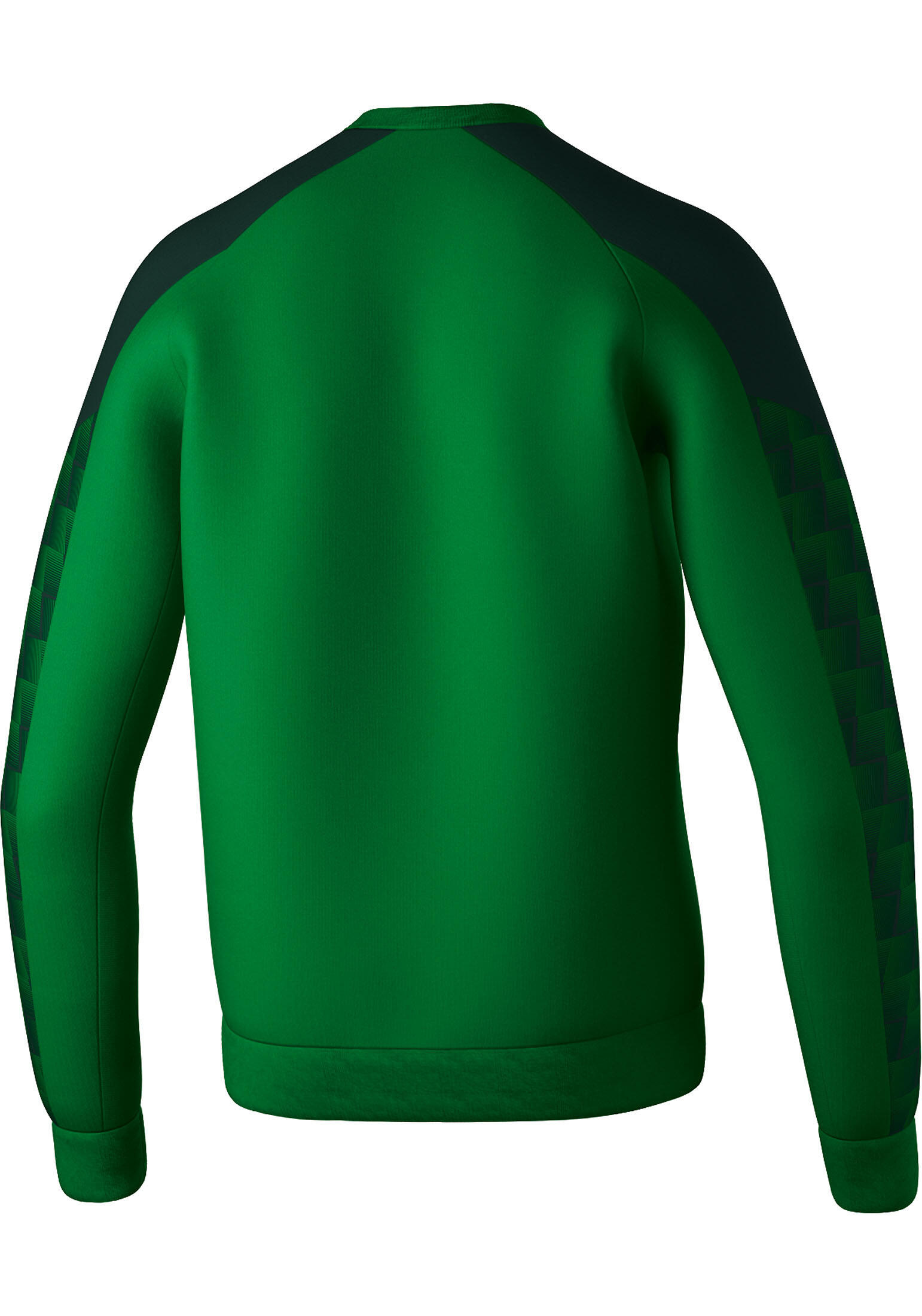 Sudadera para niños Erima Evo Star 2/2