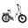 Bicicleta eléctrica FAT BIKE N-VER 9.3- 6 Velocidades