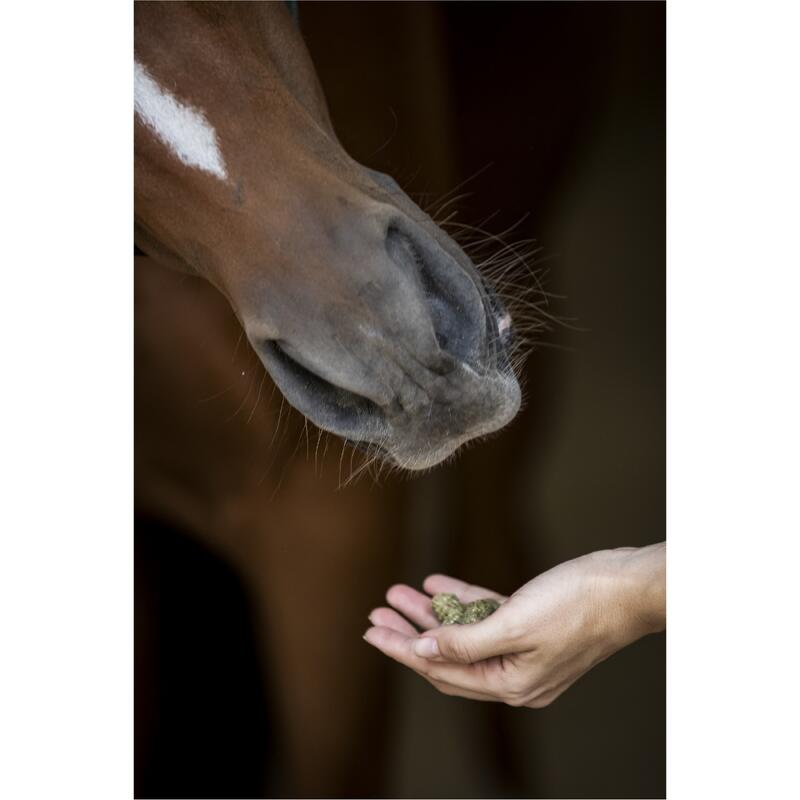 Friandises pour chevaux naturelles - Equinatura