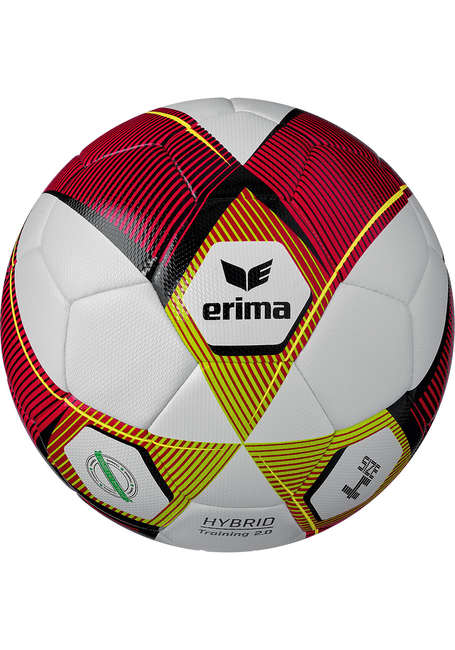 Erima Erima Hybrid Training 2.0 Multicolor