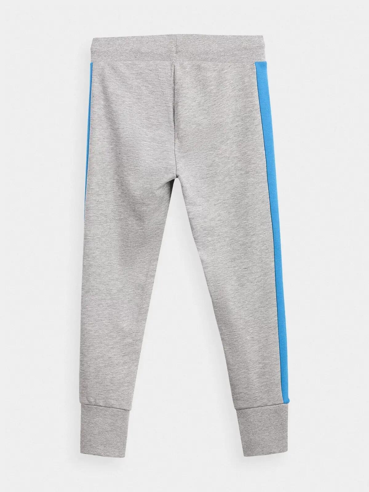 Pantaloni baieti 4F  JSPMD003A, Gri, 140 3/3