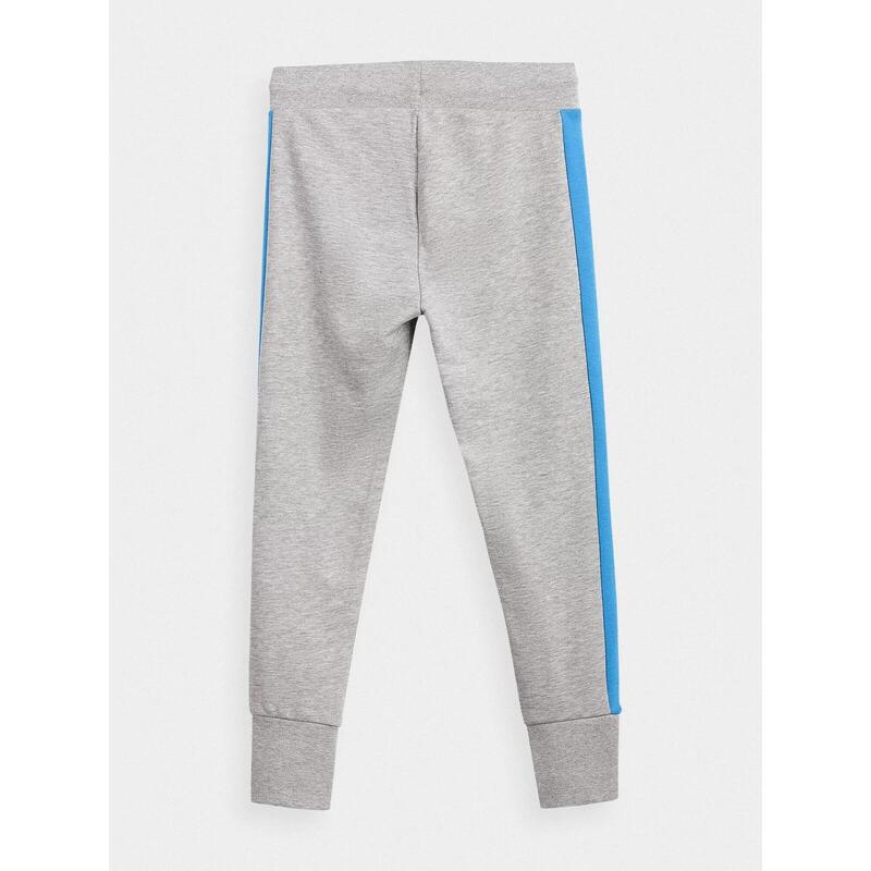 Pantaloni băieți 4F JSPMD003A, gri/cerulean, 128