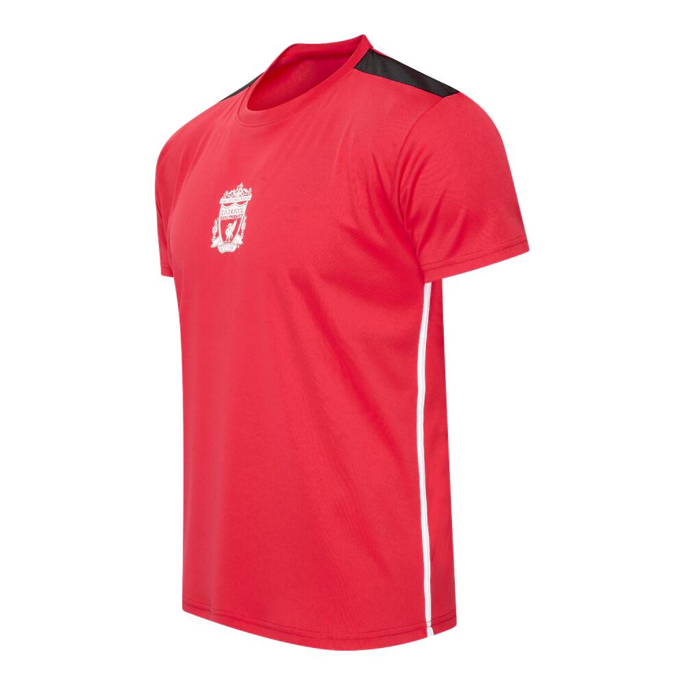 Liverpool Voetbalshirt Heren 2/3