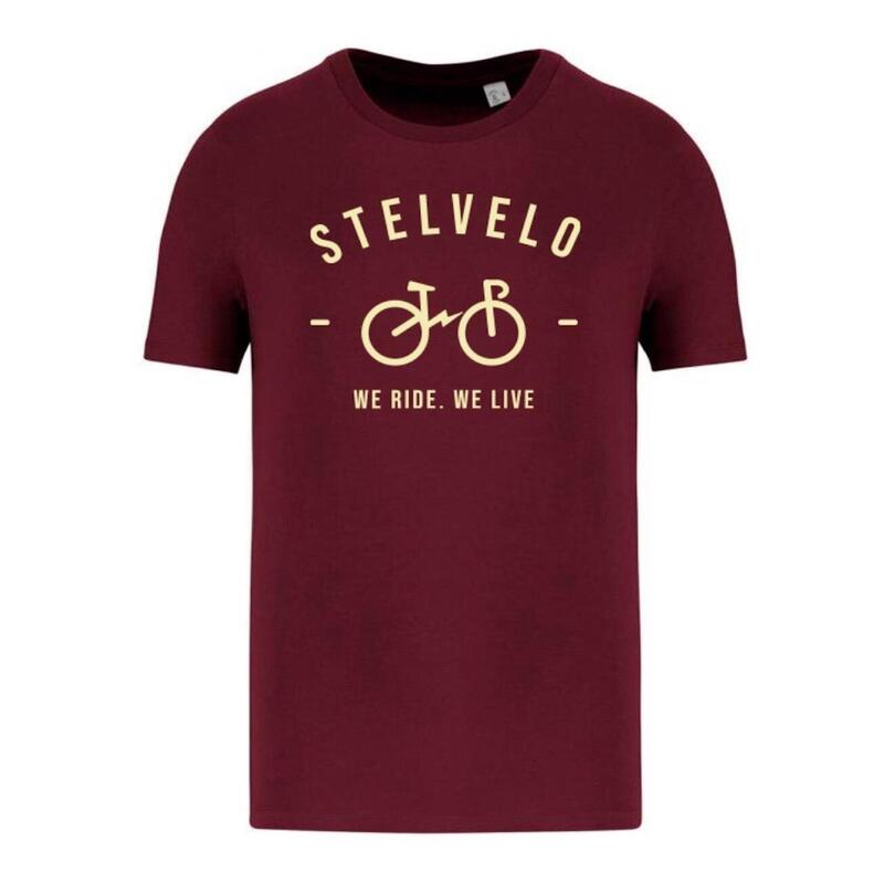 Camiseta Ciclismo Hombre Volt Stelvelo Manga Corta Rojo Oscuro