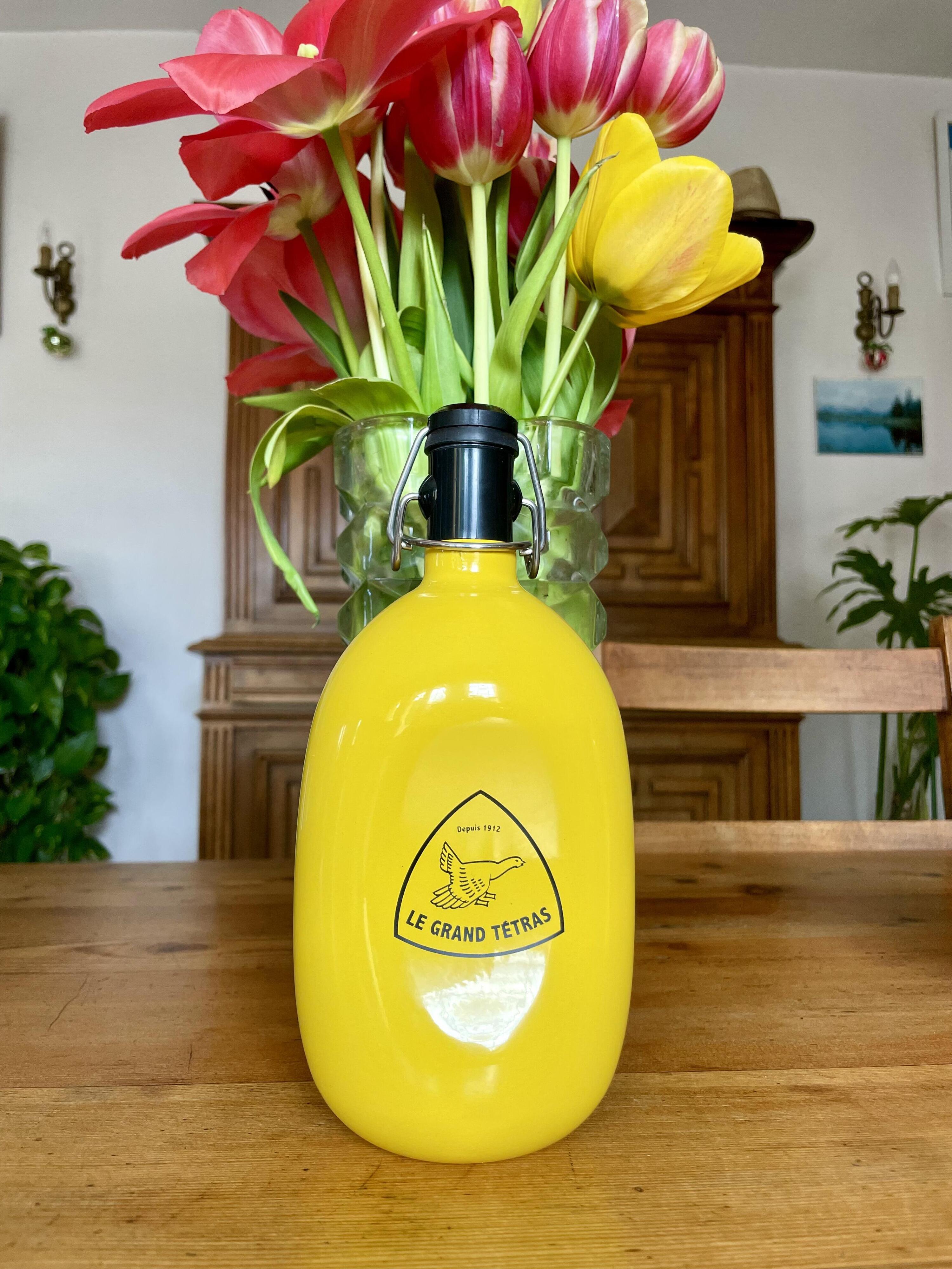 Gourde Concave Jaune 1 Litre 3/5