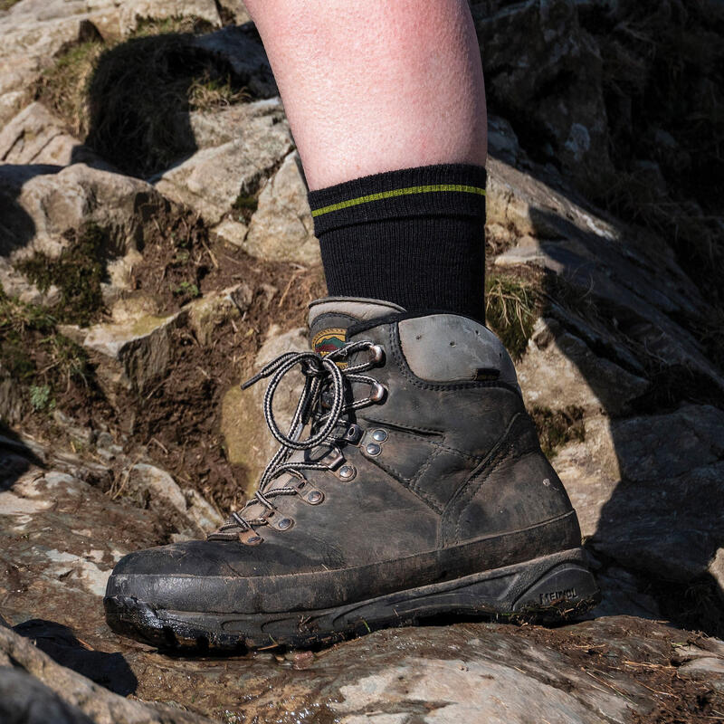 Skarpety do trekkingu Bridgedale Hike Lt T2 Coolmax P Boot