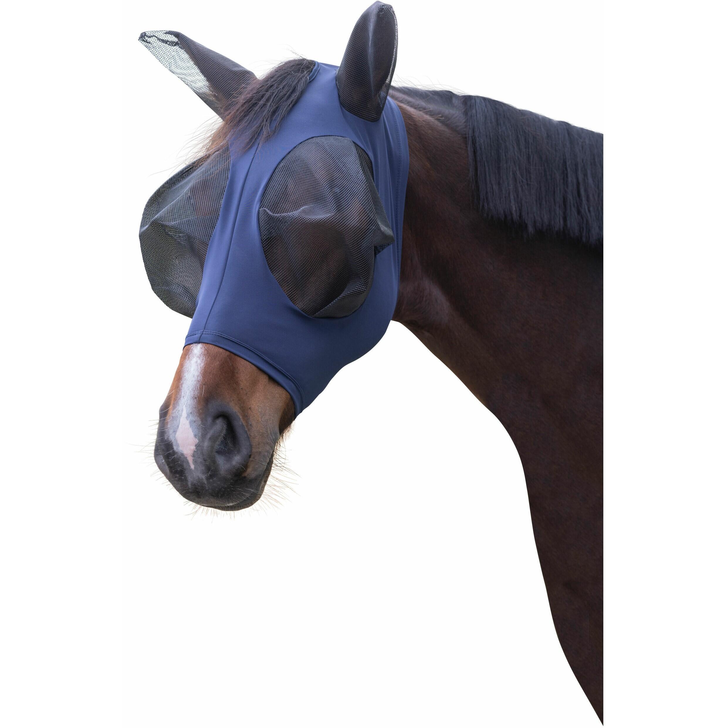 COVALLIERO picture