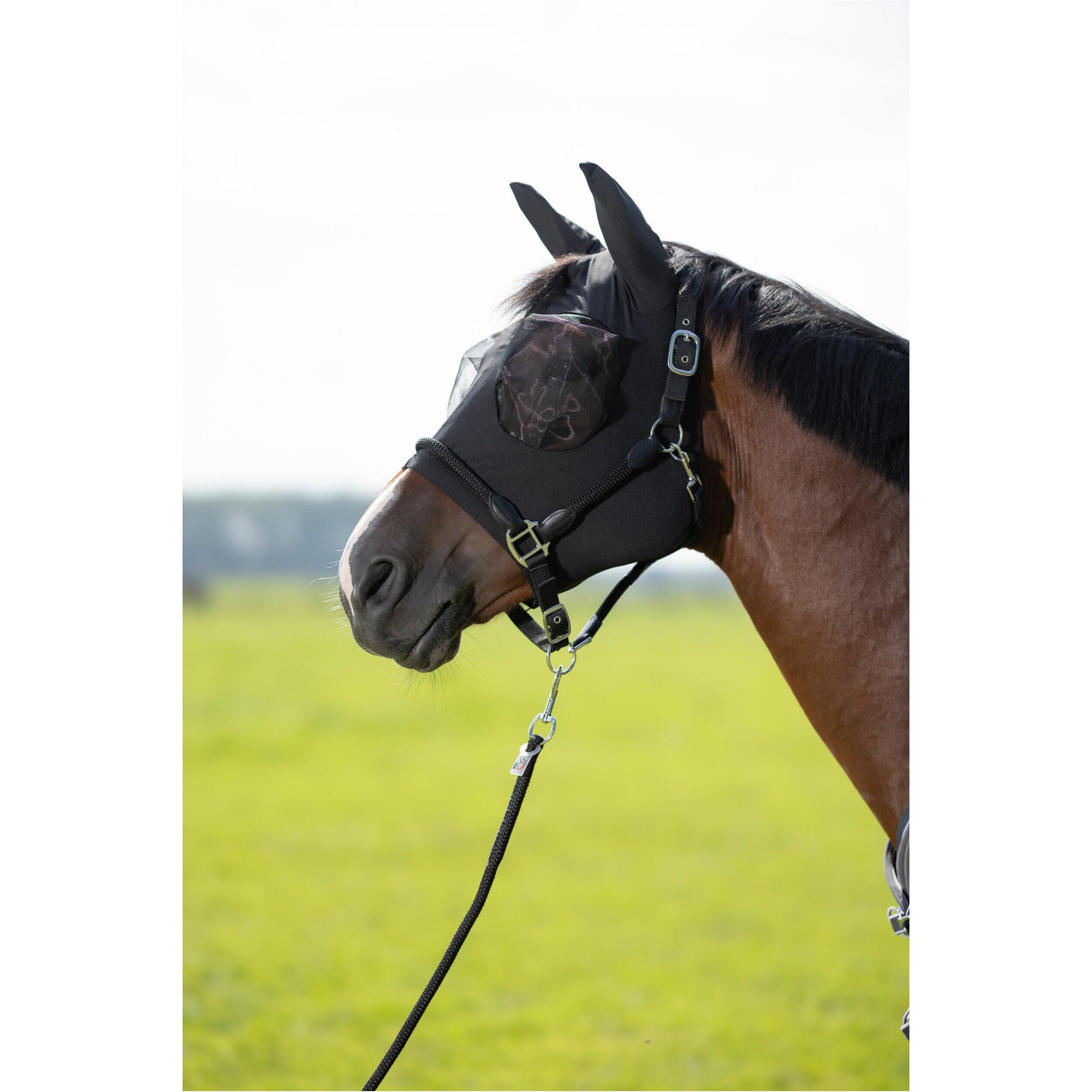 Masque anti-mouches HKM élastique 4/4
