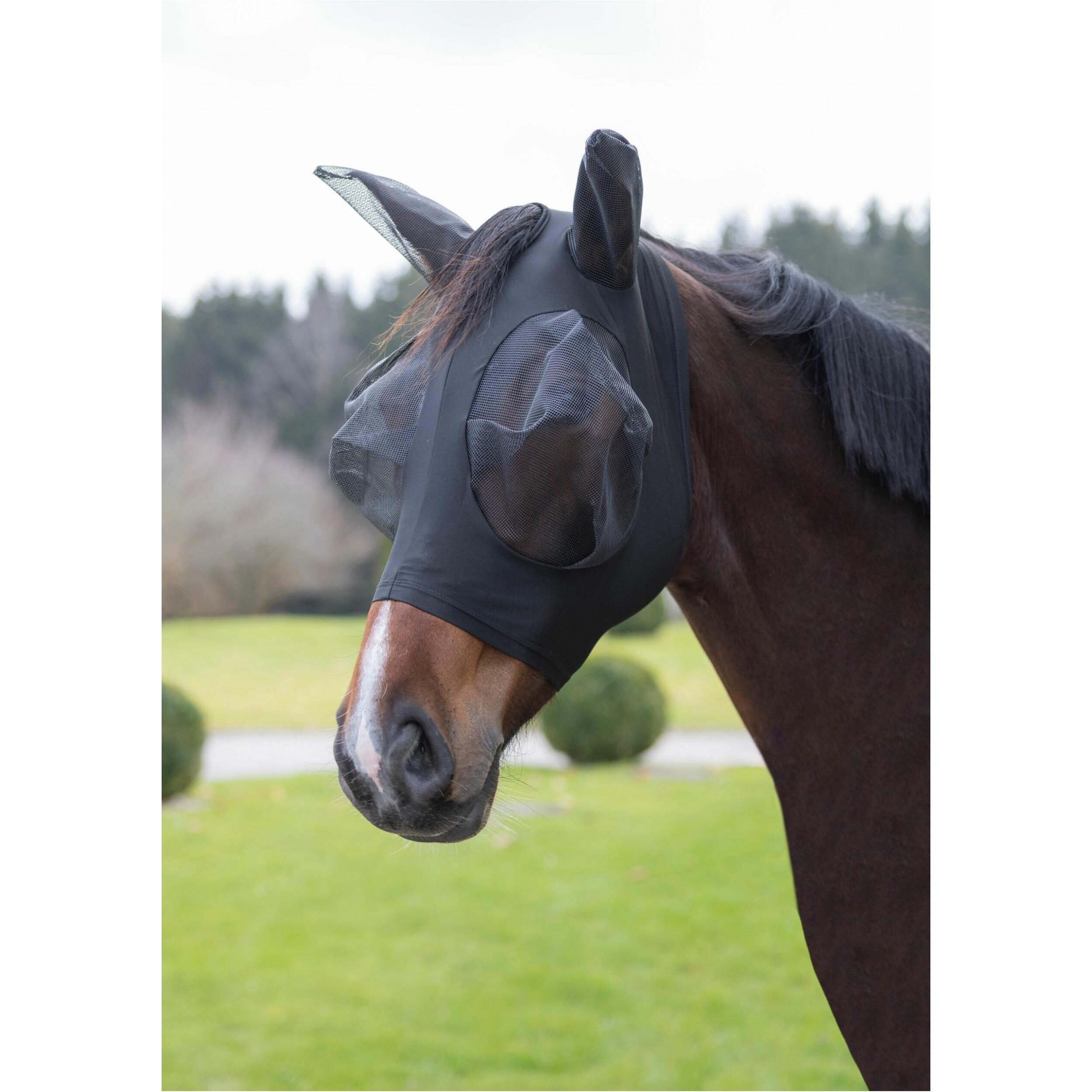 Masque anti-mouches pour cheval Covalliero FinoStretch 2/2