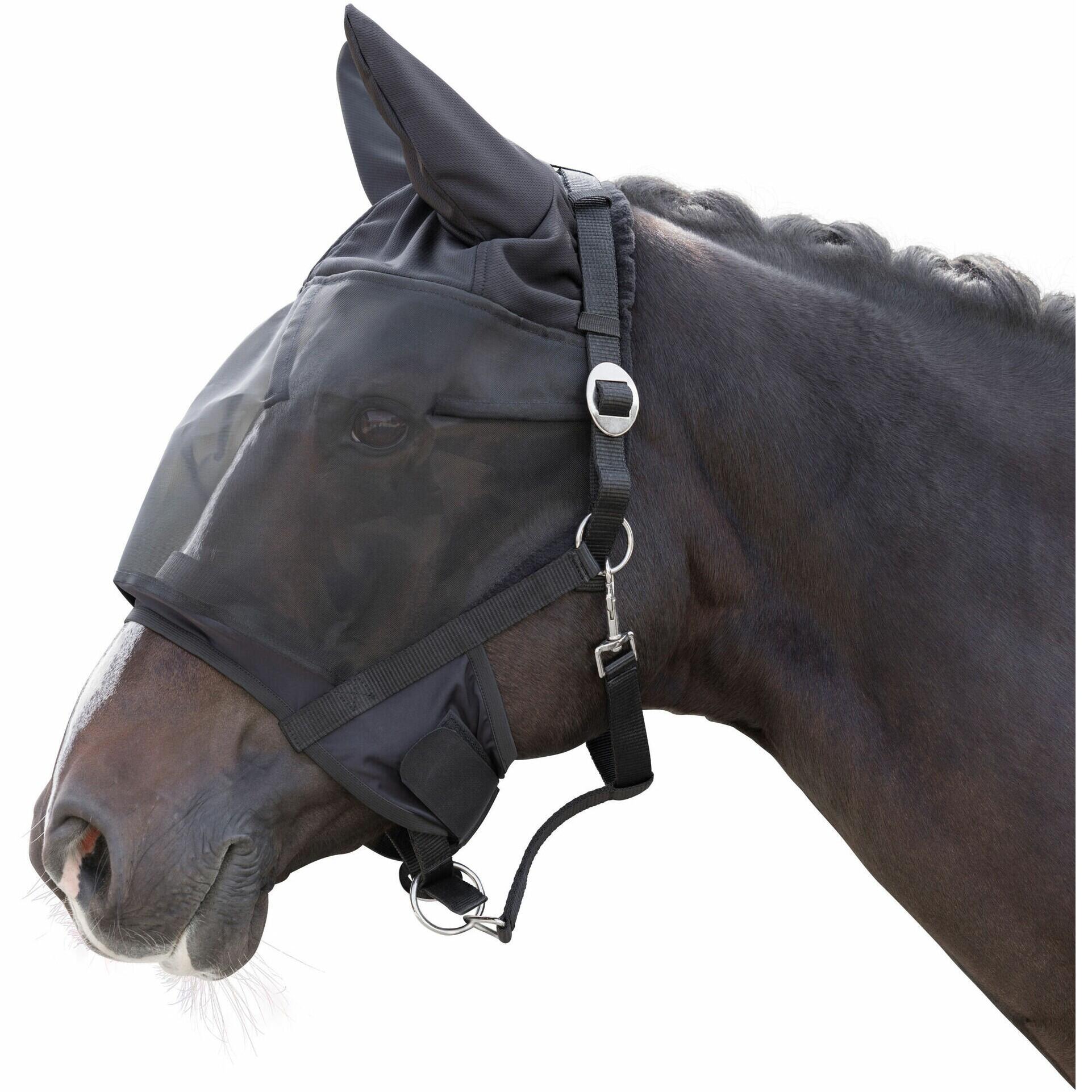 Halster met geïntegreerd vliegenmasker voor paarden Covalliero 2/3