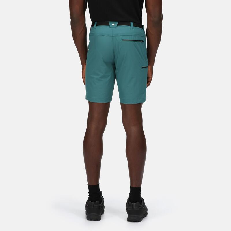 Xert Stretch III Short de randonnée pour homme - Vert